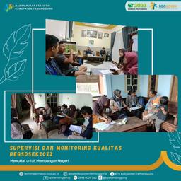 Supervisi dan Monitoring Kualitas Regsosek 2022