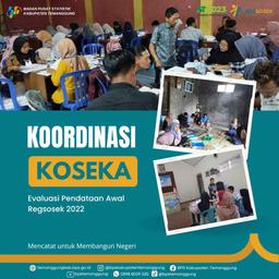 Coordination of Koseka Evaluation of Initial Data Collection for Regsosek 2022