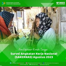 Pendataan Sakernas Agustus 2023