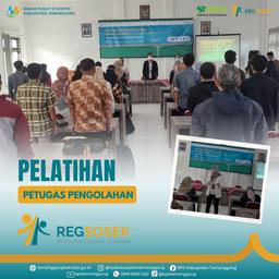 Pelatihan Petugas Pengolahan Regsosek