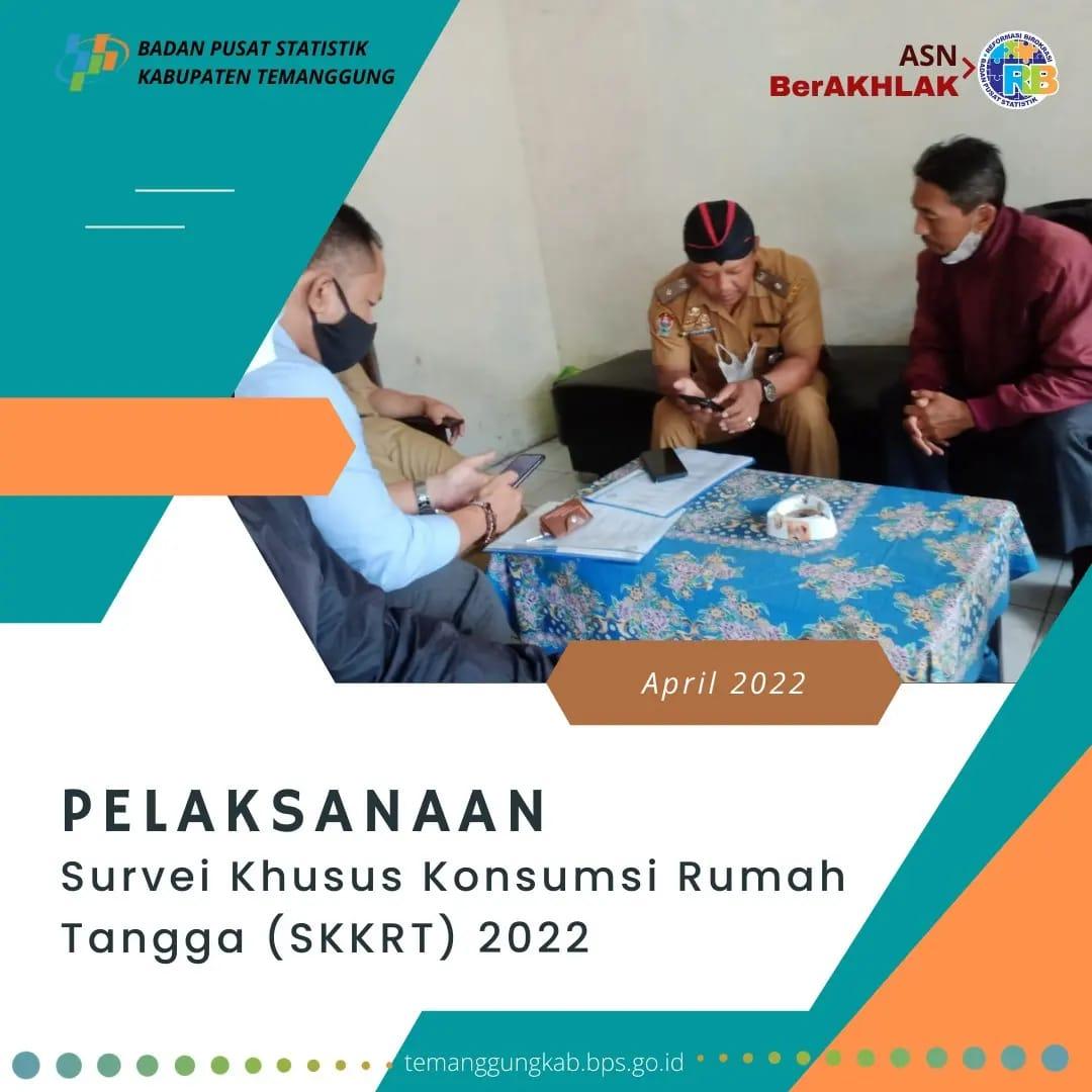 Survei Khusus Konsumsi Rumah Tangga (SKKRT) 2022 