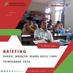 Briefing Survei Industri Mikro Kecil (IMK) Triwulanan 2022