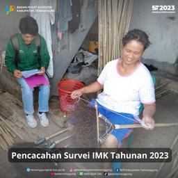 Pencacahan Survei IMK Tahunan 2023