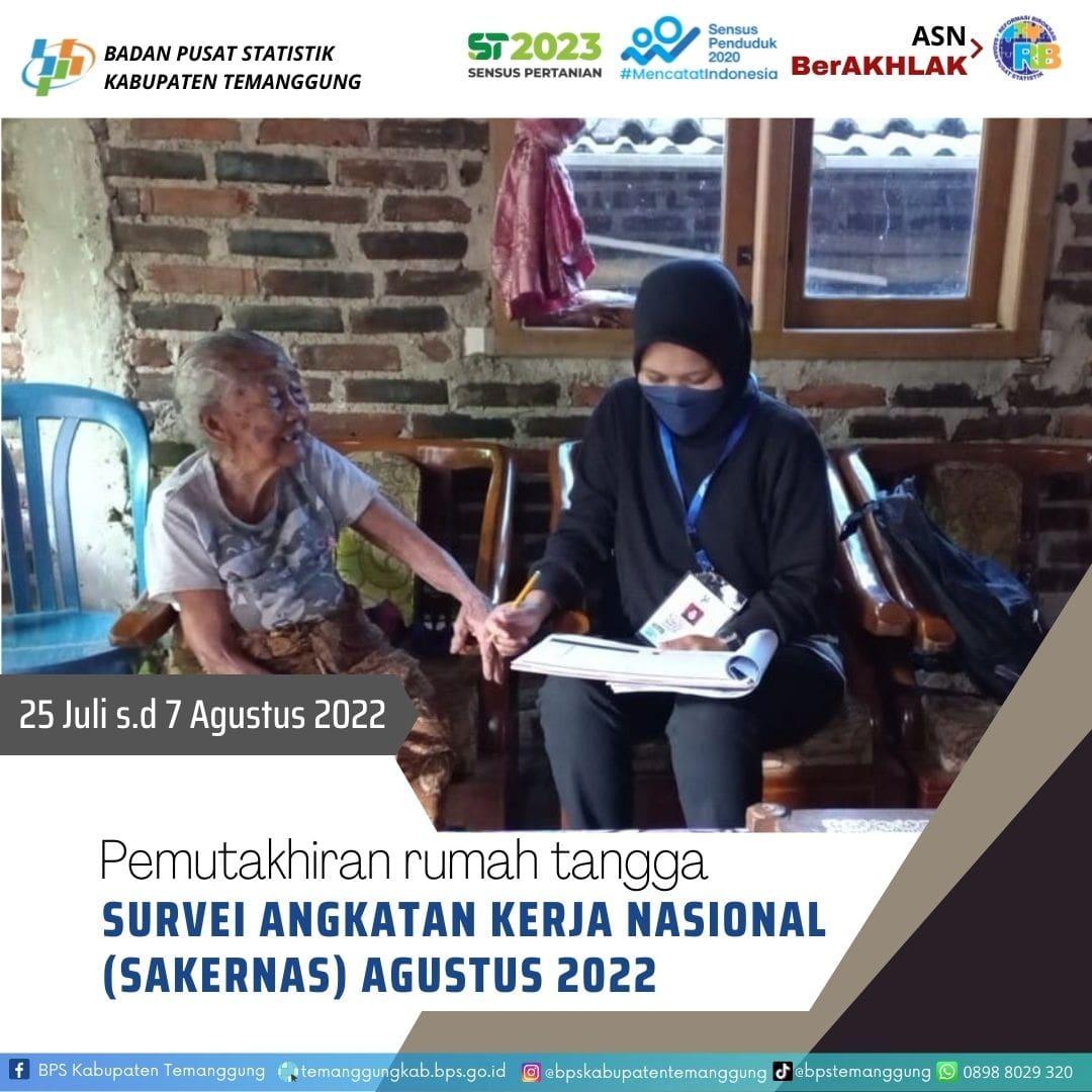 Survei Angkatan Kerja Nasional (Sakernas) Tahunan Tahun 2022