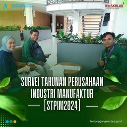 Survei Tahunan Perusahaan Industri Manufaktur 2024