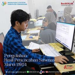 Pengolahan Data Hasil Pencacahan Rumah Tangga Susenas Maret 2024