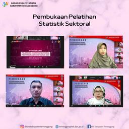 Pembukaan Pelatihan Statistik Sektoral