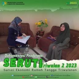 Pendataan Seruti Triwulan II 2023