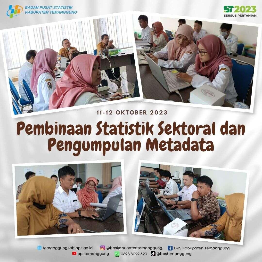 Pembinaan Statistik Sektoral dan Pengumpulan Metadata